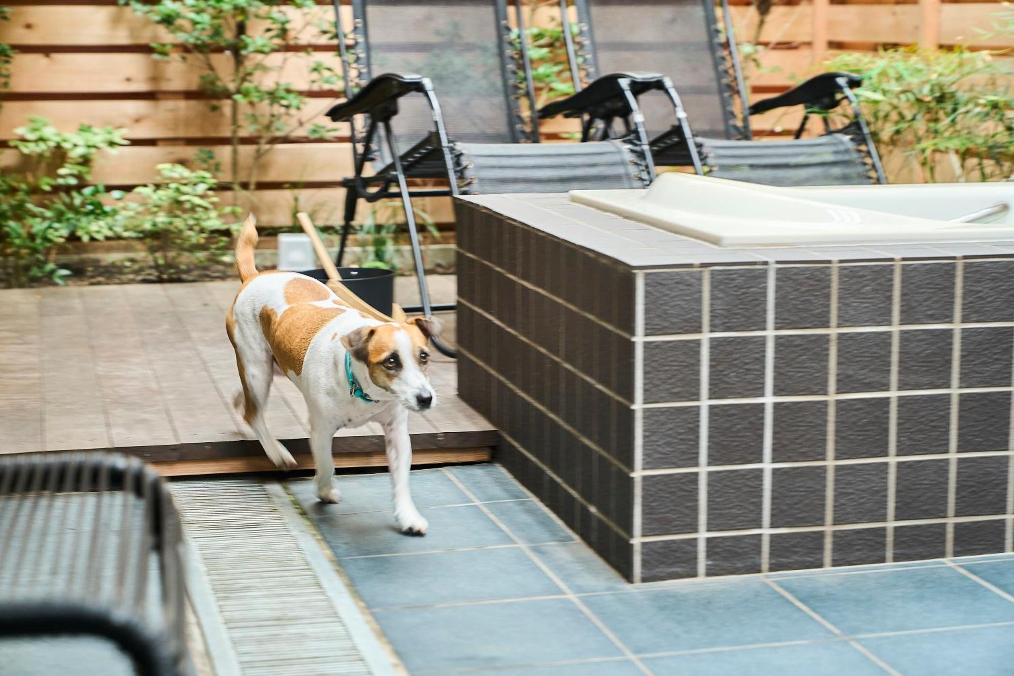 R.Kamakura Apartment Ngoại thất bức ảnh