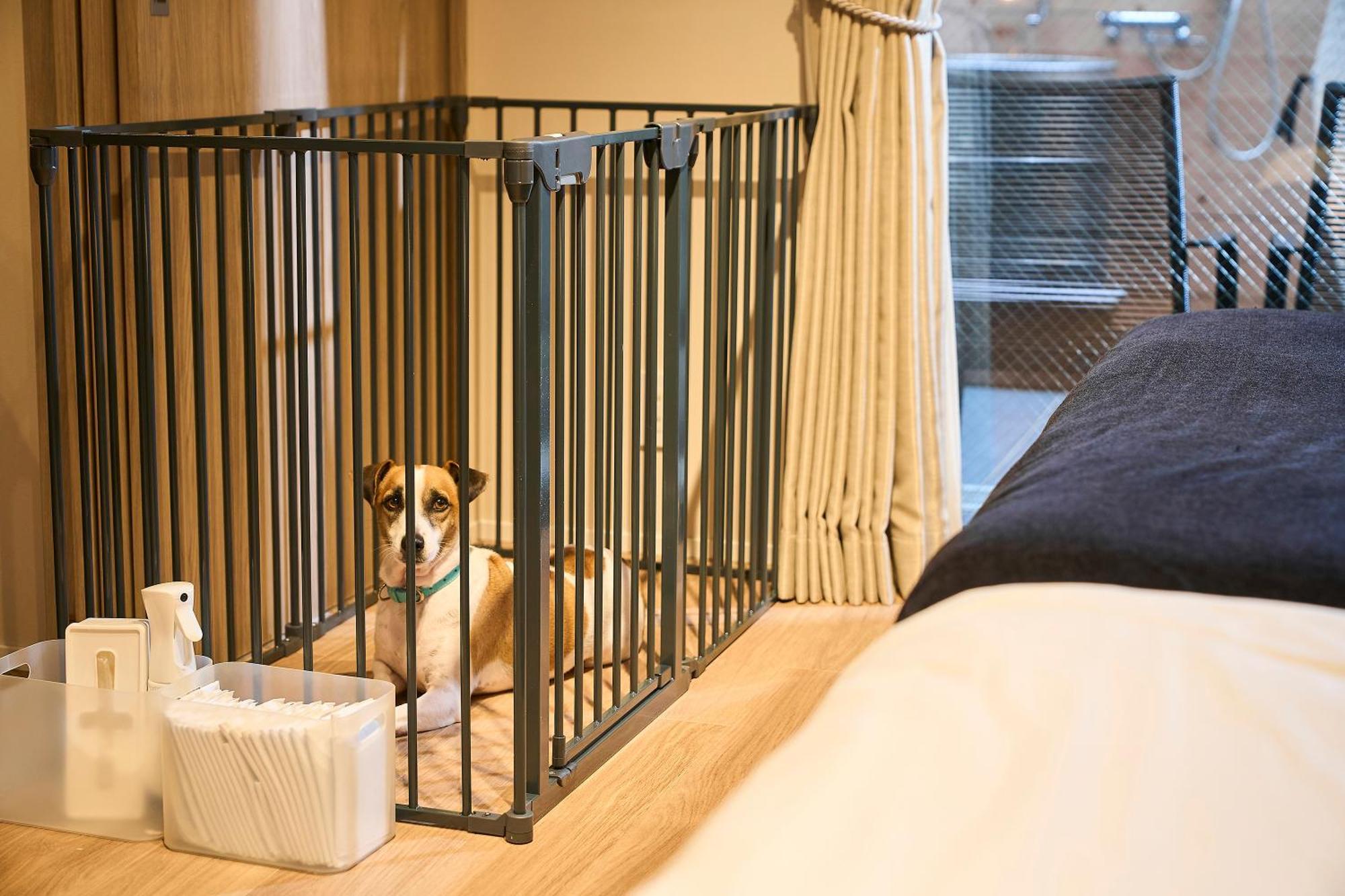 R.Kamakura Apartment Ngoại thất bức ảnh